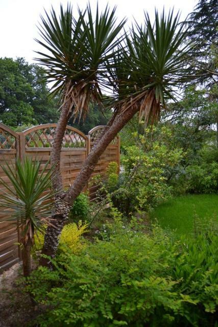 Le Logis De Saint-Martin Bed & Breakfast Haute-Goulaine Bagian luar foto